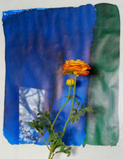 Blume vor blauem Bild